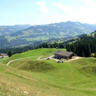 IMG_9388A.jpg