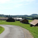 IMG_9450A.jpg