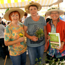 Die Damen vom Kr__utergarten.JPG