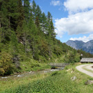 Malfon Alm_ Pettneu 22_8_2015  _5_.JPG