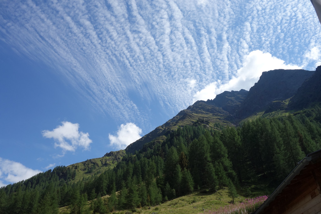 Malfon Alm_ Pettneu 22_8_2015  _13_.JPG