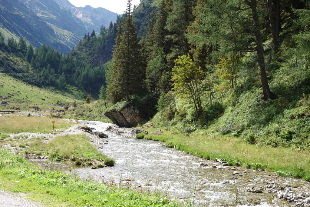 Malfon Alm_ Pettneu 22_8_2015  _35_.JPG