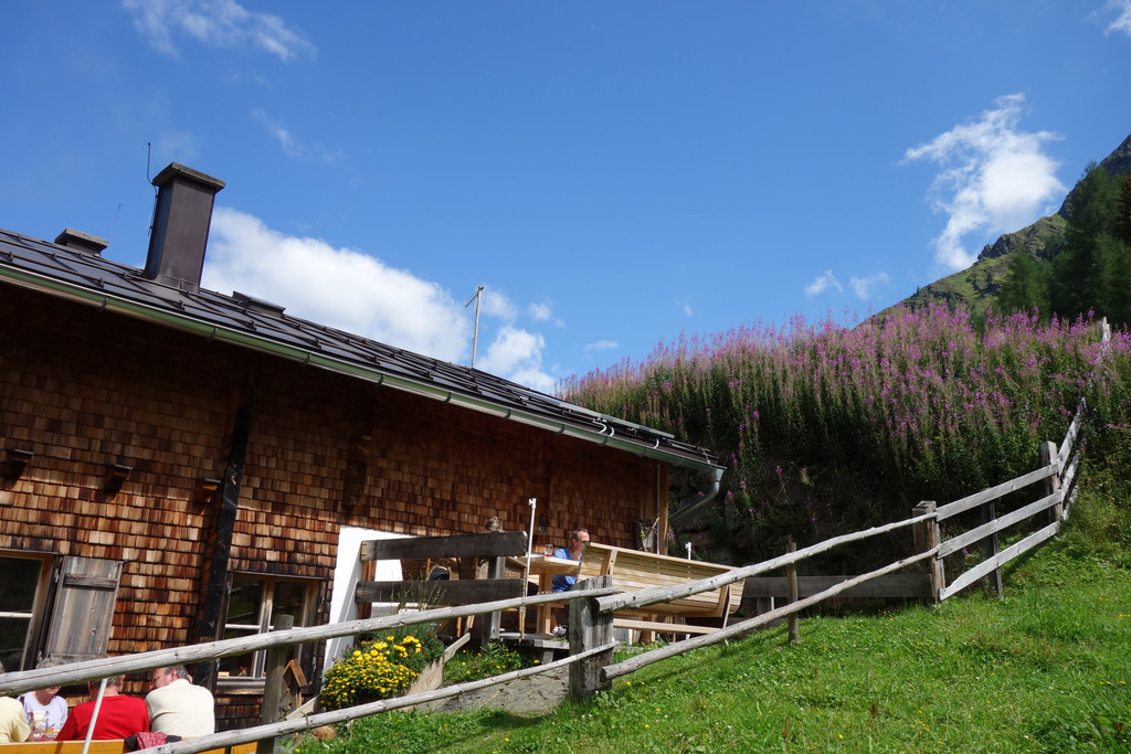 Malfon Alm_ Pettneu 22_8_2015  _48_.JPG