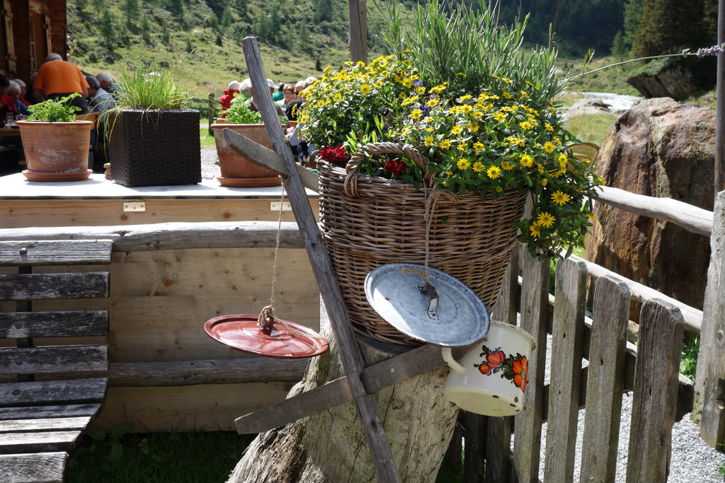 Malfon Alm_ Pettneu 22_8_2015  _29_.JPG