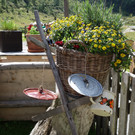 Malfon Alm_ Pettneu 22_8_2015  _29_.JPG