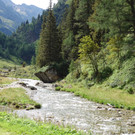 Malfon Alm_ Pettneu 22_8_2015  _35_.JPG