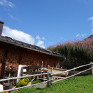 Malfon Alm_ Pettneu 22_8_2015  _48_.JPG