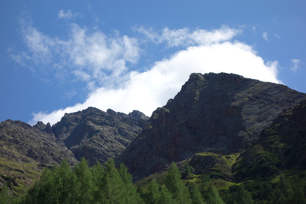Malfon Alm_ Pettneu 22_8_2015  _104_.JPG