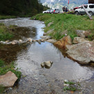 Malfon Alm_ Pettneu 22_8_2015  _185_.JPG
