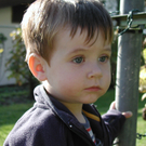 Elternberatung Kleinkind Baby