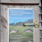 Alpe 13.jpg