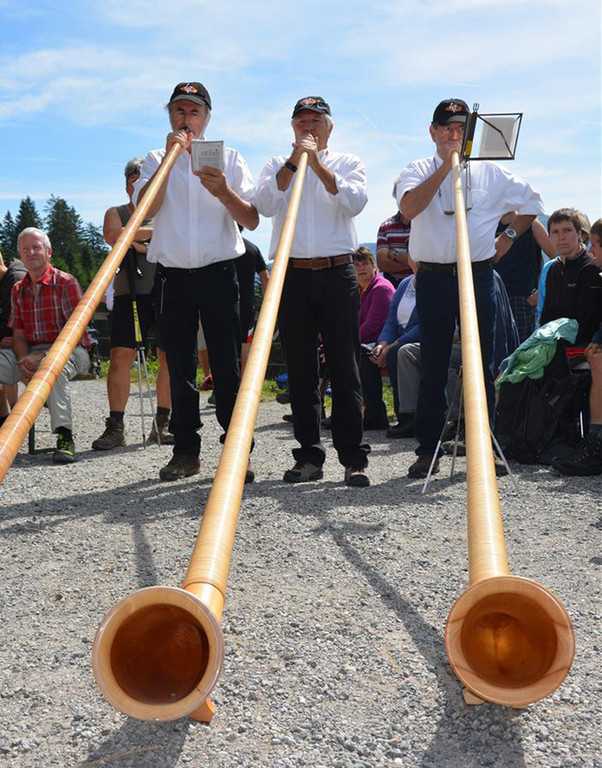 Alpe9 Alphorn.jpg