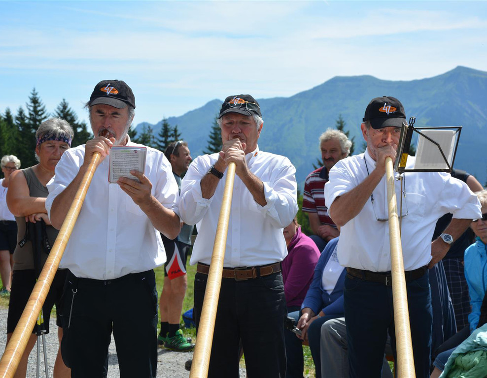 Alpe10 Alphorn.jpg