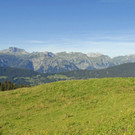070_bearbeitet-1.jpg