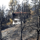 Waldbrände auf La Palma teilweise unter Kontrolle