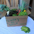 Bio-Brunch auf Lisilis Biohof