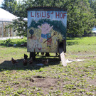 IMG_4381.JPG