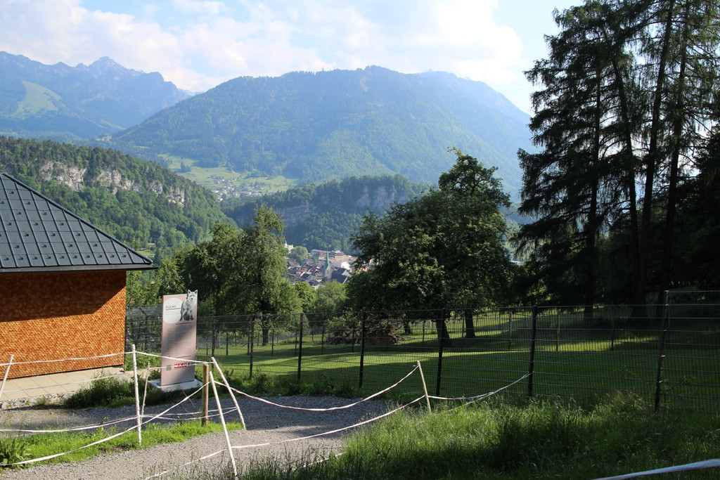 KOE_Wildpark Fuchsbau onlne 4.jpg