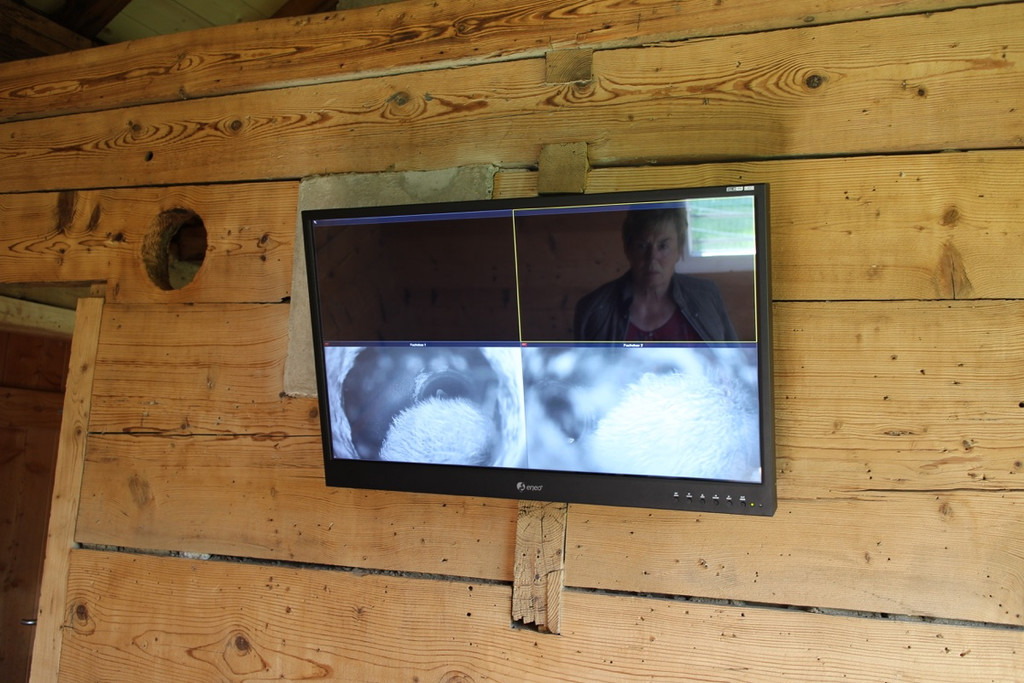 KOE_Wildpark Fuchsbau onlne 8.jpg