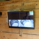 KOE_Wildpark Fuchsbau onlne 8.jpg