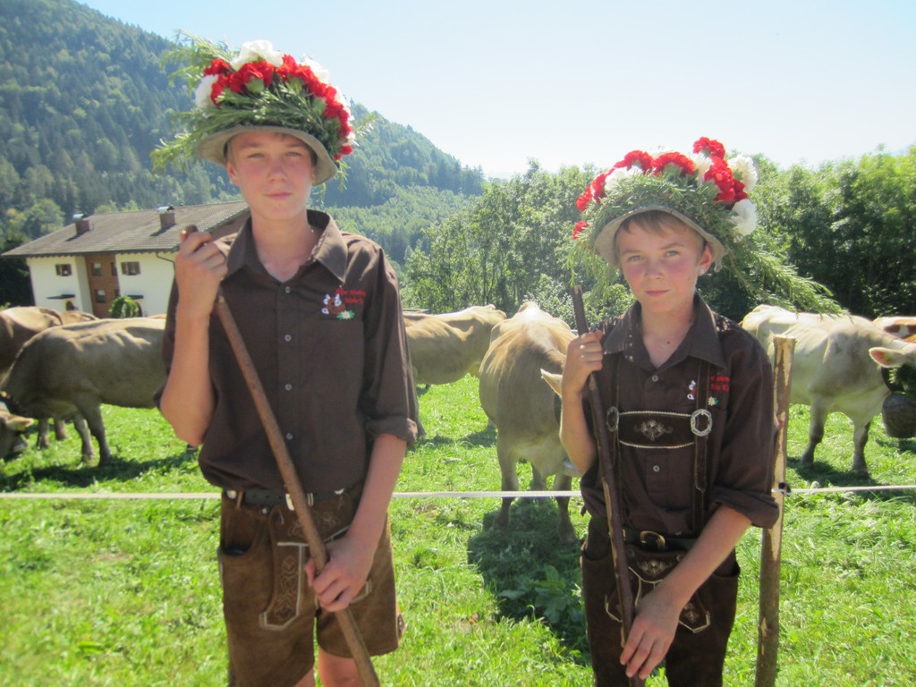 alpabfahrt fraxern maiens____ 2015 _29_.jpg