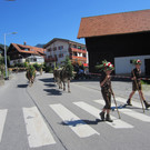 alpabfahrt fraxern maiens____ 2015 _2_.jpg