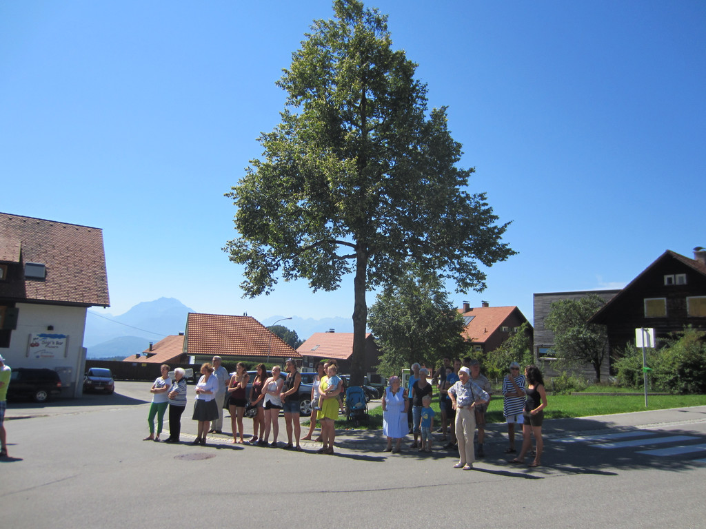 alpabfahrt fraxern maiens____ 2015 _15_.jpg