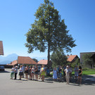 alpabfahrt fraxern maiens____ 2015 _15_.jpg