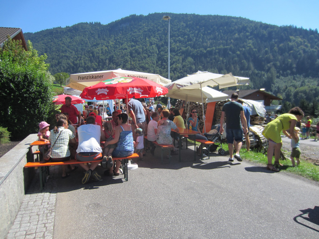 alpabfahrt fraxern maiens____ 2015 _24_.jpg