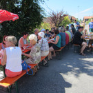 alpabfahrt fraxern maiens____ 2015 _25_.jpg