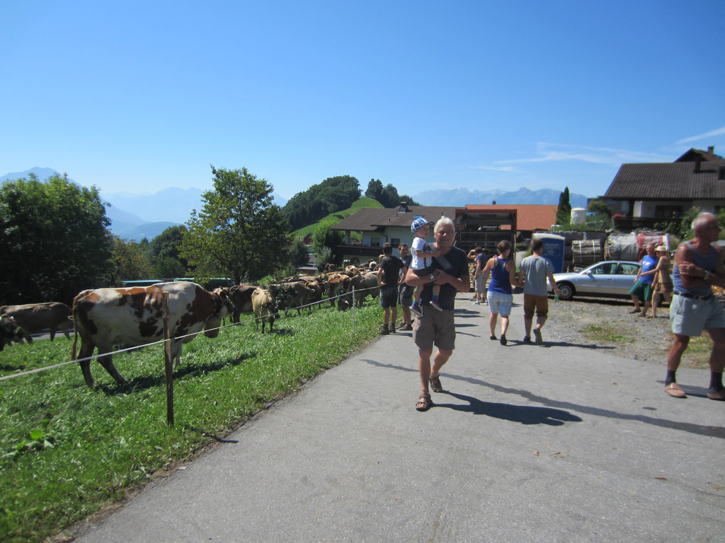 alpabfahrt fraxern maiens____ 2015 _26_.jpg