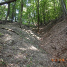 29082015_MA_68_Lichtbildstelle _1_.JPG