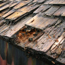 DSCN6656.JPG