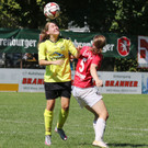 06.jpg