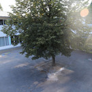 IMG_0266.JPG