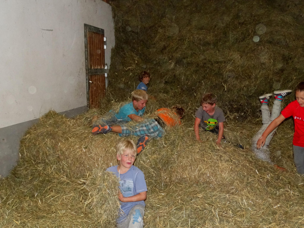 103.JPG