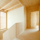 2_5_5T5V9455.jpg