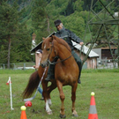 DSC_6233_jpg-1275290044