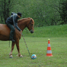 DSC_6235_jpg-1275290048