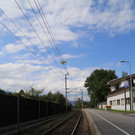 IMG_0537.JPG