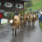 DSC_0018_JPG-1441451697.jpg