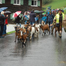 DSC_0026_JPG-1441451842.jpg