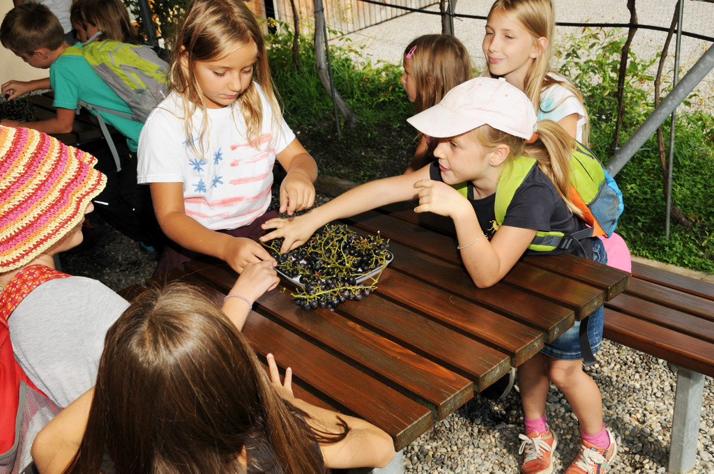 Tierschutz 2015 15.jpg