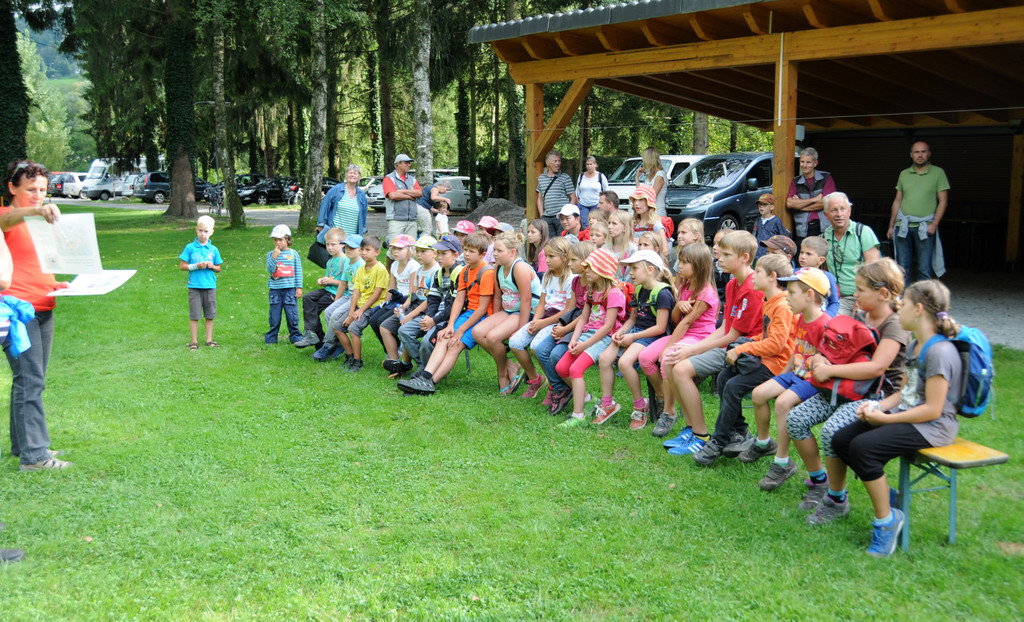 Tierschutz Hundesport 2015.jpg