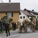 DSC00102.JPG