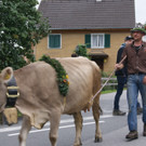 DSC00104.JPG