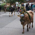 DSC00110.JPG
