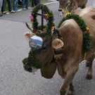 DSC00112.JPG