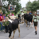 DSC00114.JPG
