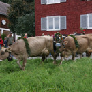 DSC00122.JPG